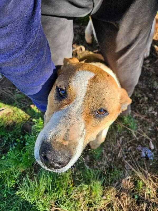 Roulette thumbnail 2