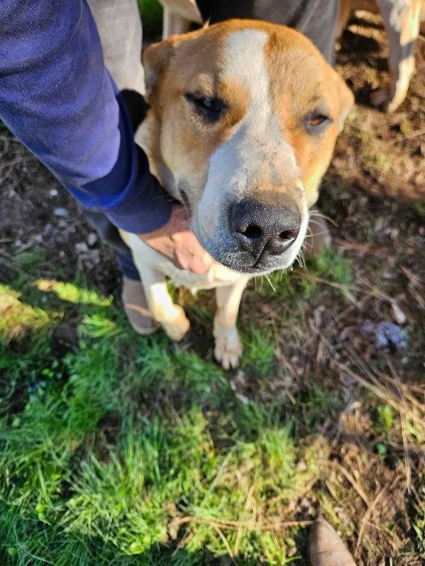 Roulette thumbnail 4