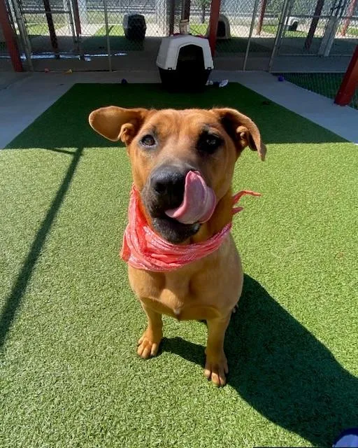 Poundcake thumbnail 2