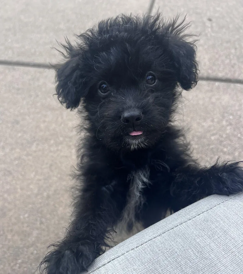 Money: Rupee thumbnail 3