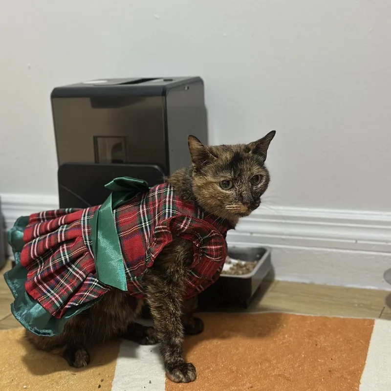 Millie And Lillie thumbnail 2