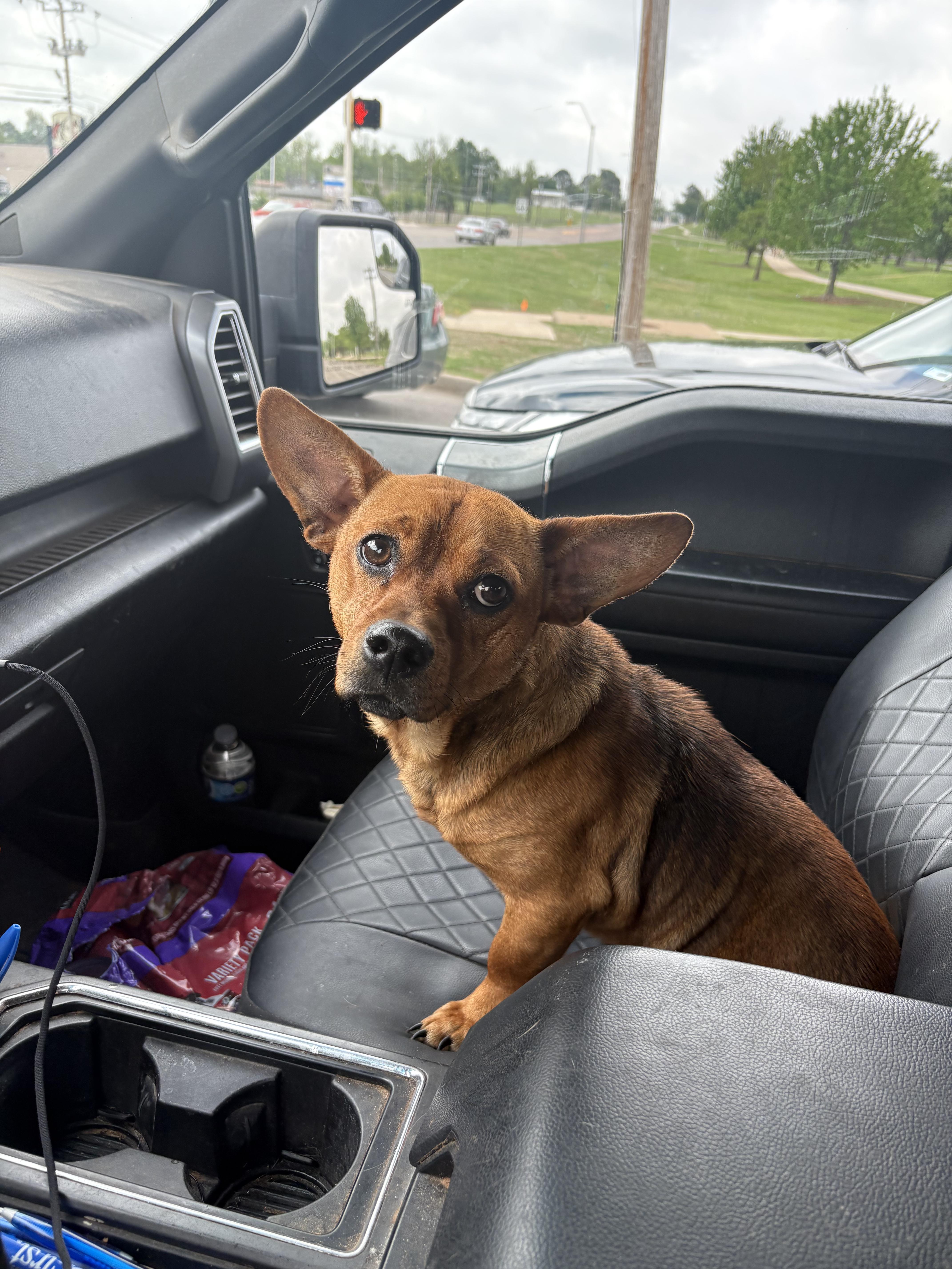 Sparticus   $ thumbnail 3