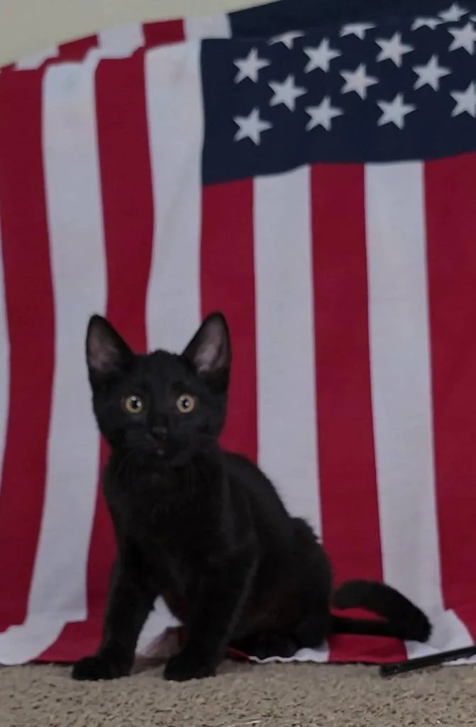 J. Edgar thumbnail 4