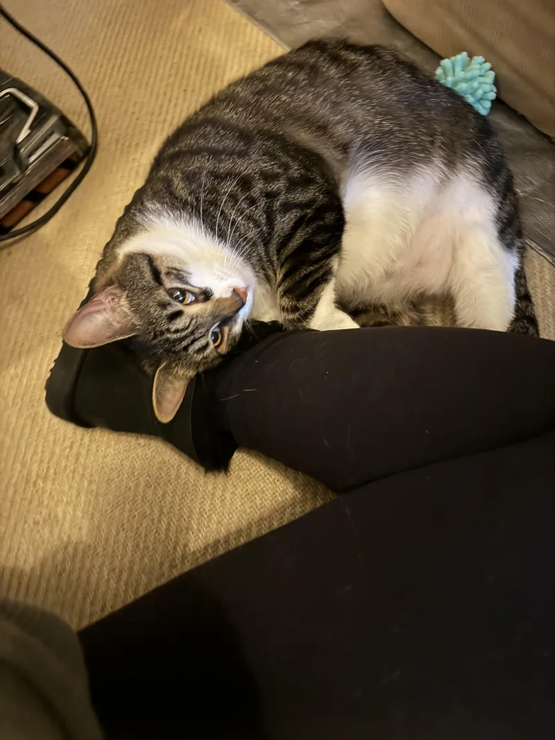 Michaela thumbnail 2