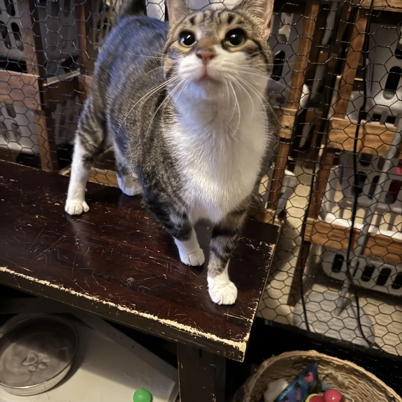 Michaela thumbnail 3