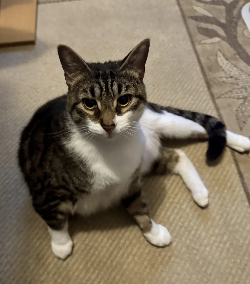 Michaela thumbnail 4