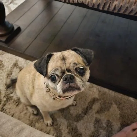 Lulu thumbnail 2