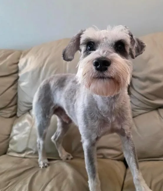 Murphy thumbnail 2