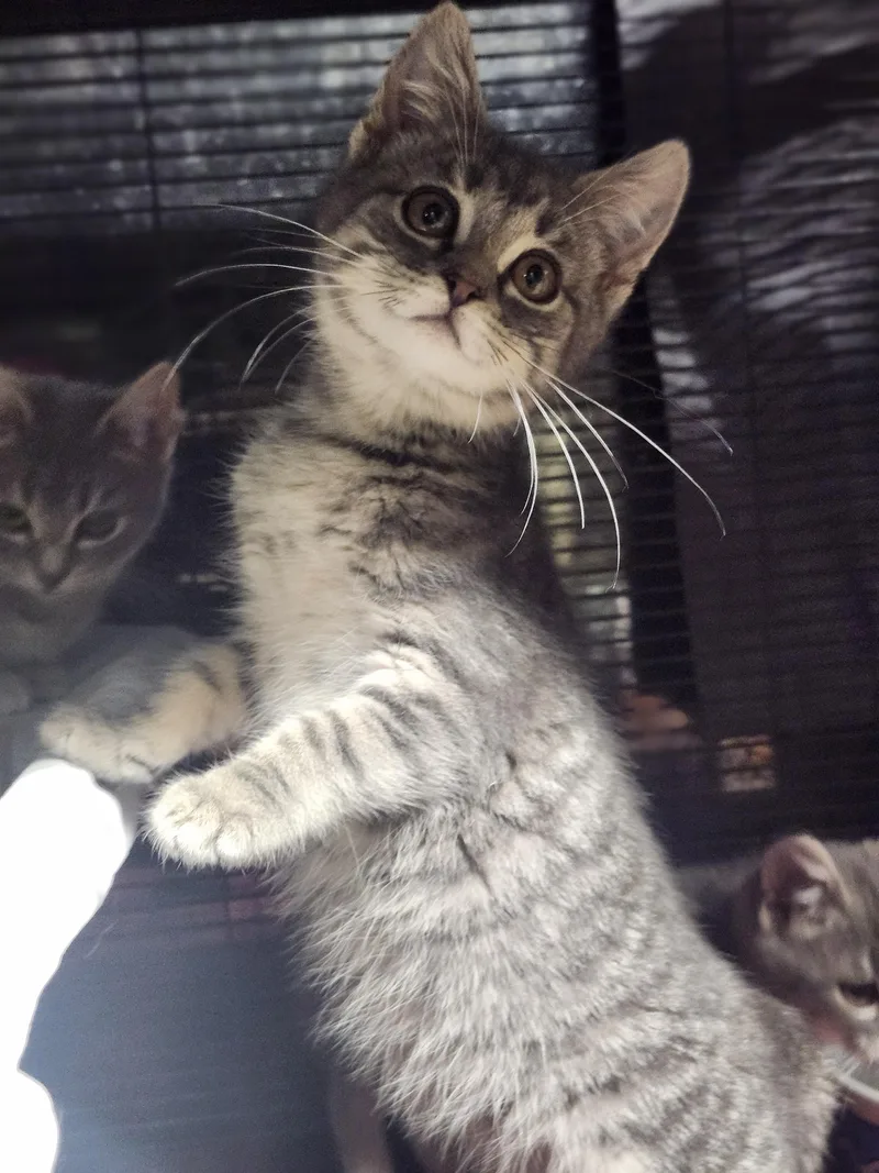 Peanut Butter And Jelly thumbnail 2