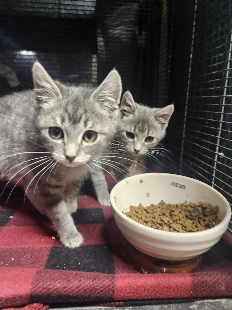 Peanut Butter And Jelly