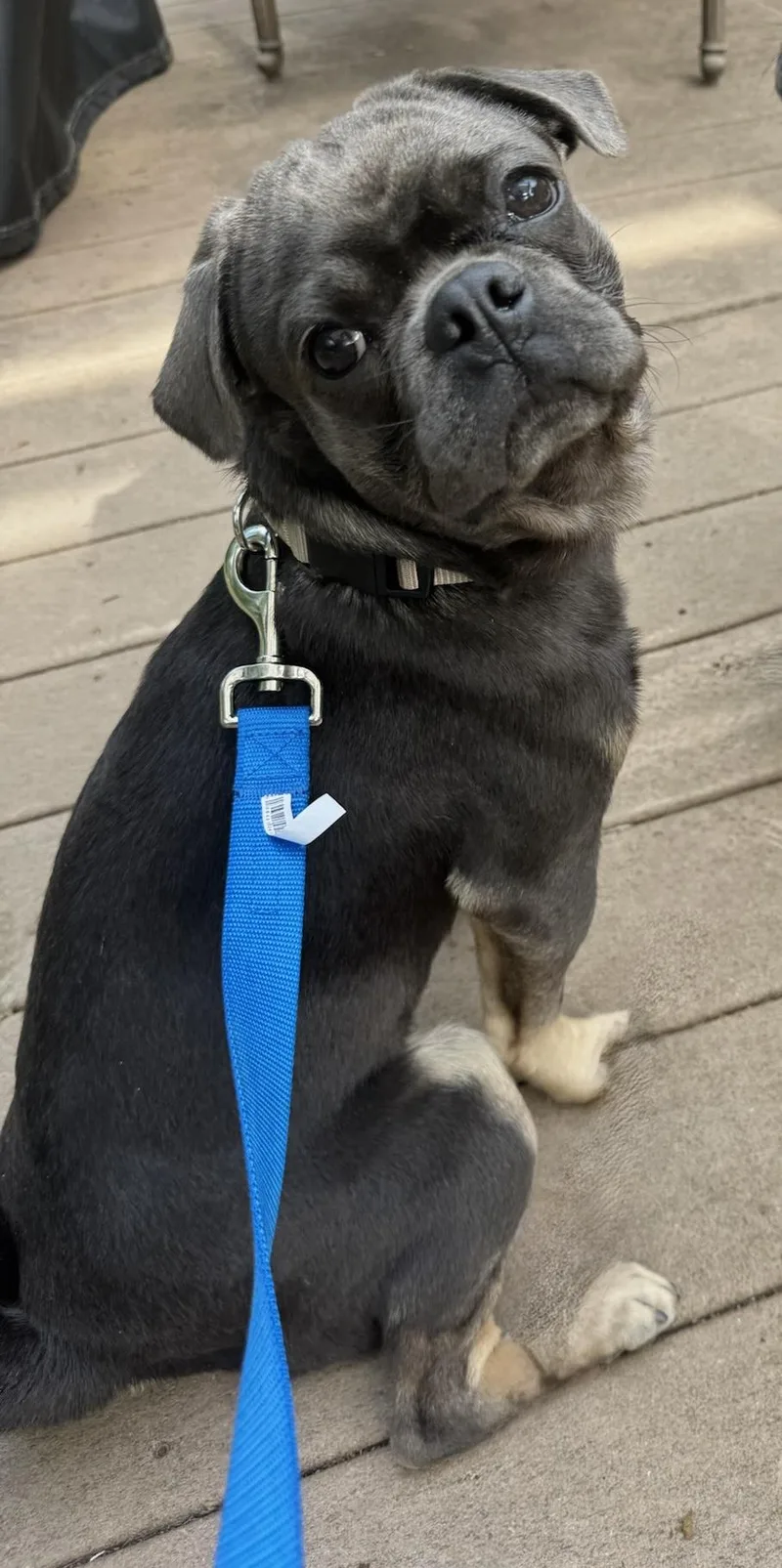 Frank