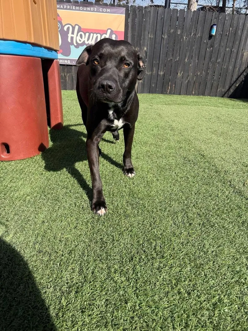 Issac $ Sponsorship thumbnail 2