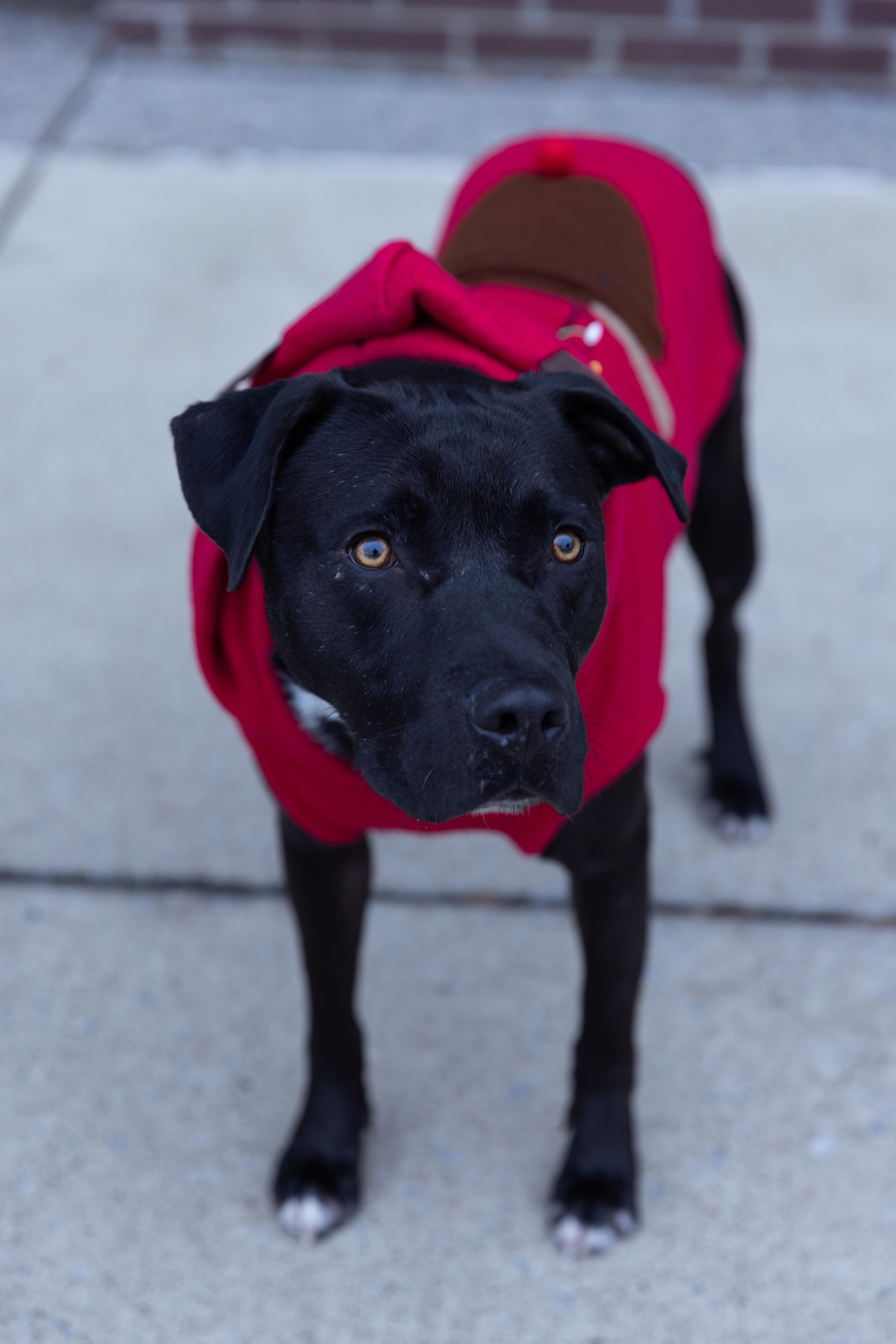 Issac $ Sponsorship thumbnail 4