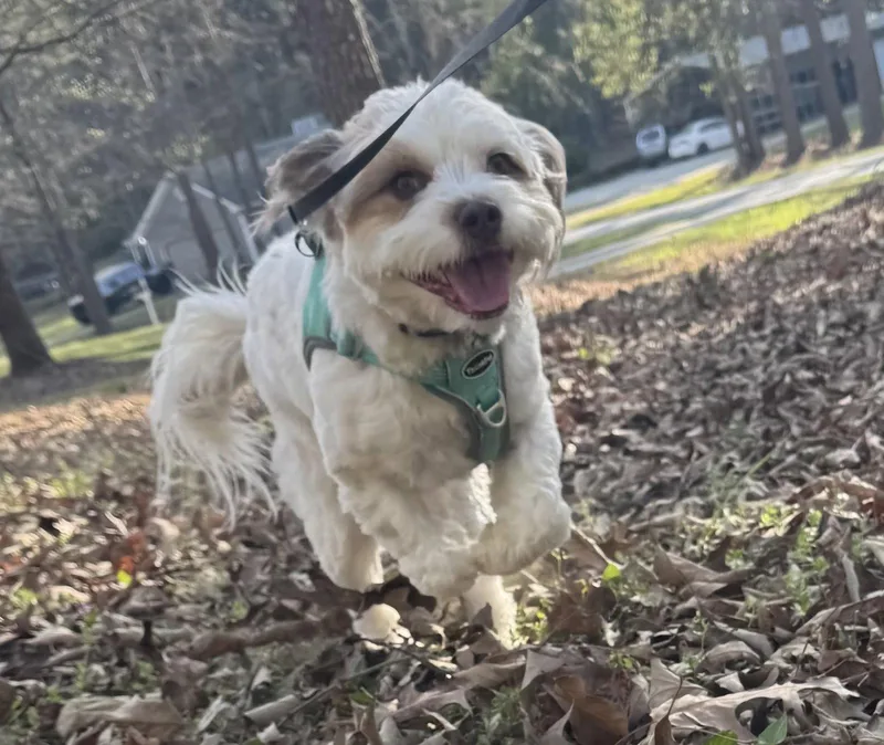 Ruth Bader Ginsburg thumbnail 2