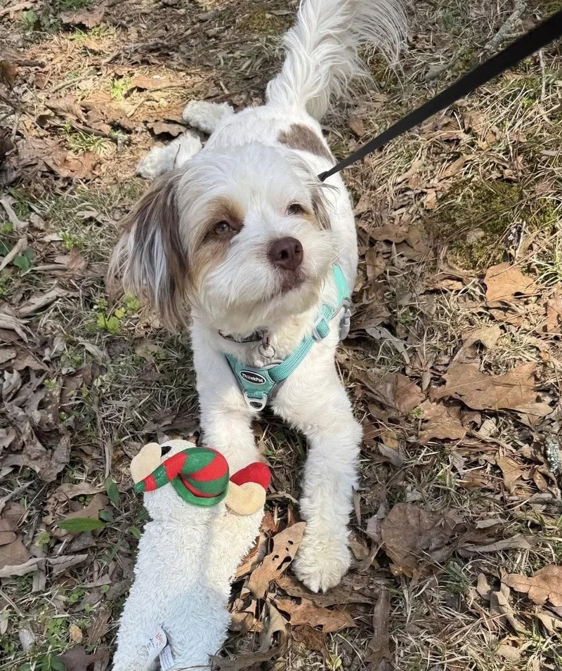 Ruth Bader Ginsburg thumbnail 3