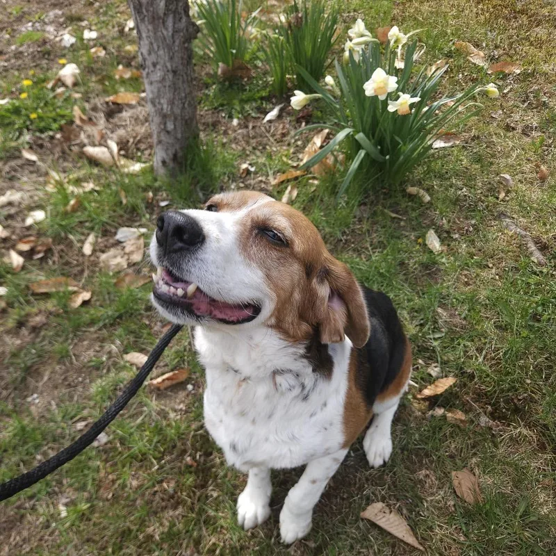 Pretty Girl