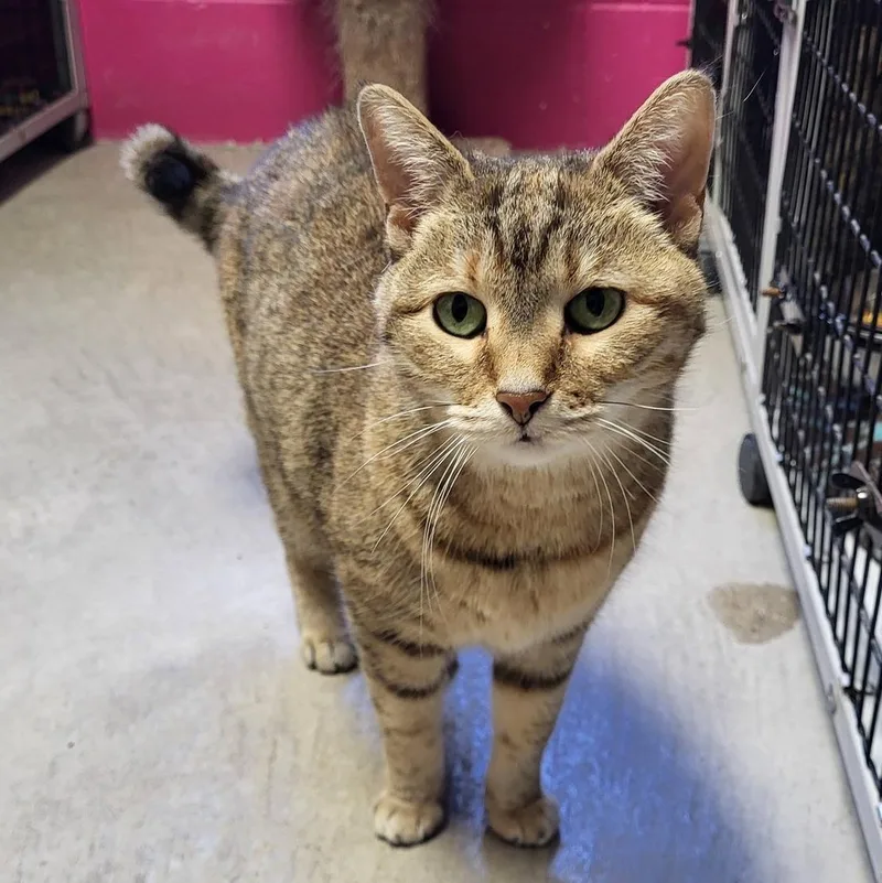 Diana & Dayna thumbnail 4