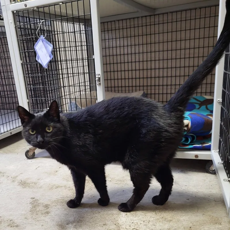 Diana & Dayna thumbnail 5