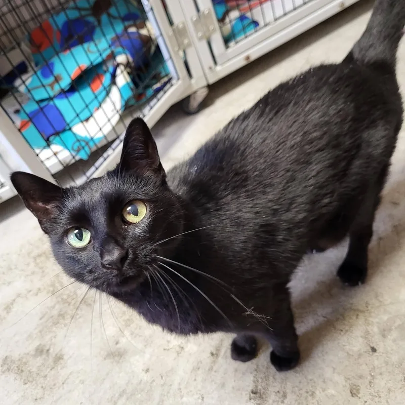 Diana & Dayna thumbnail 6