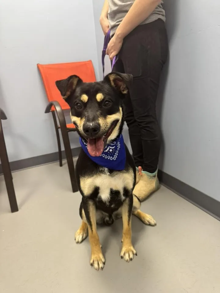 Muffin Man thumbnail 2