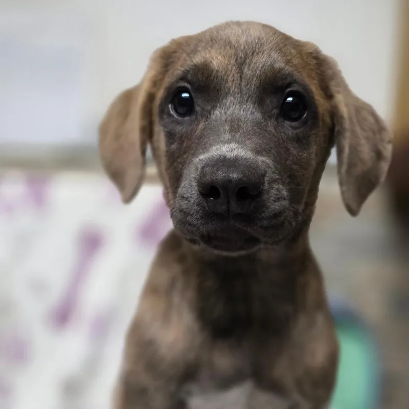 Mitchell thumbnail 2