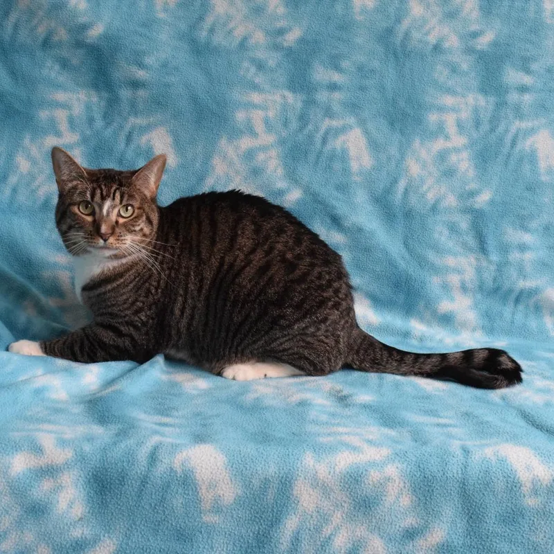 Kiki