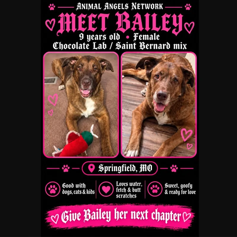 Bailey thumbnail 5