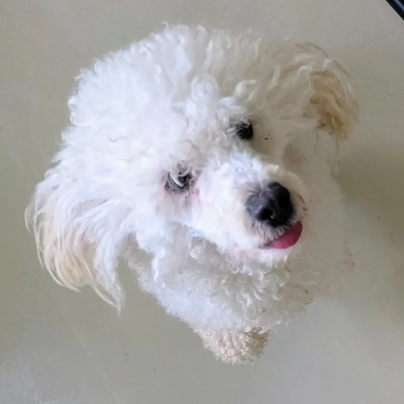 Caine Sterling thumbnail 2