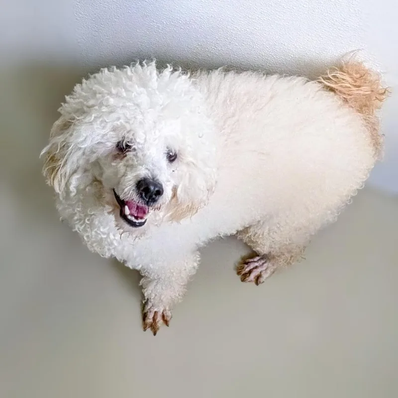 Caine Sterling thumbnail 3