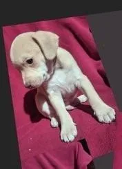 Napper thumbnail 5