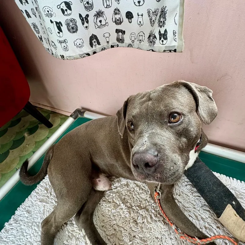 Winter Storm thumbnail 2