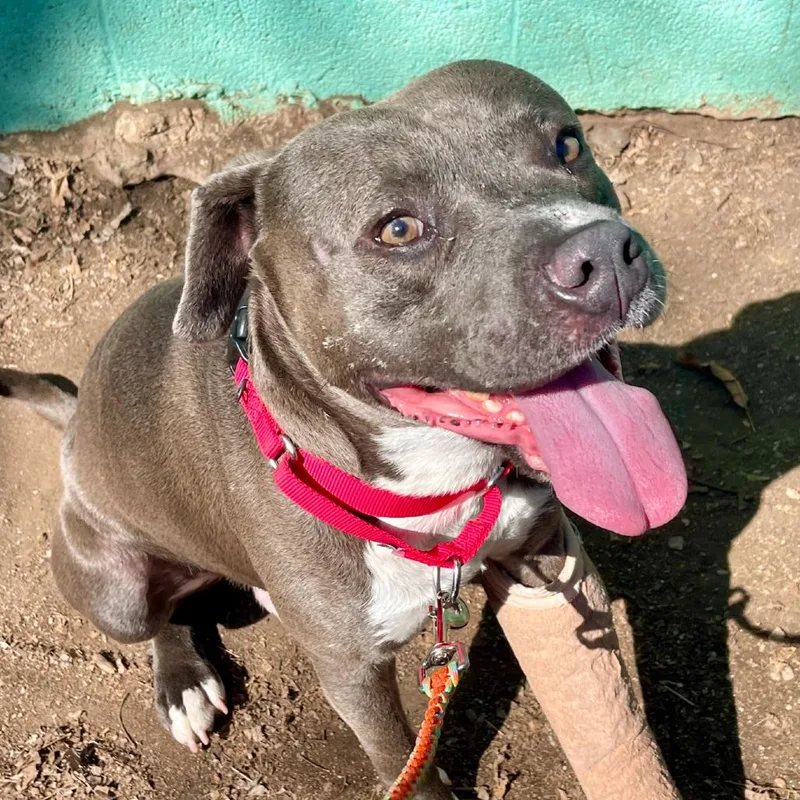 Winter Storm thumbnail 4