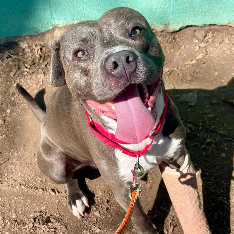 Winter Storm thumbnail 5