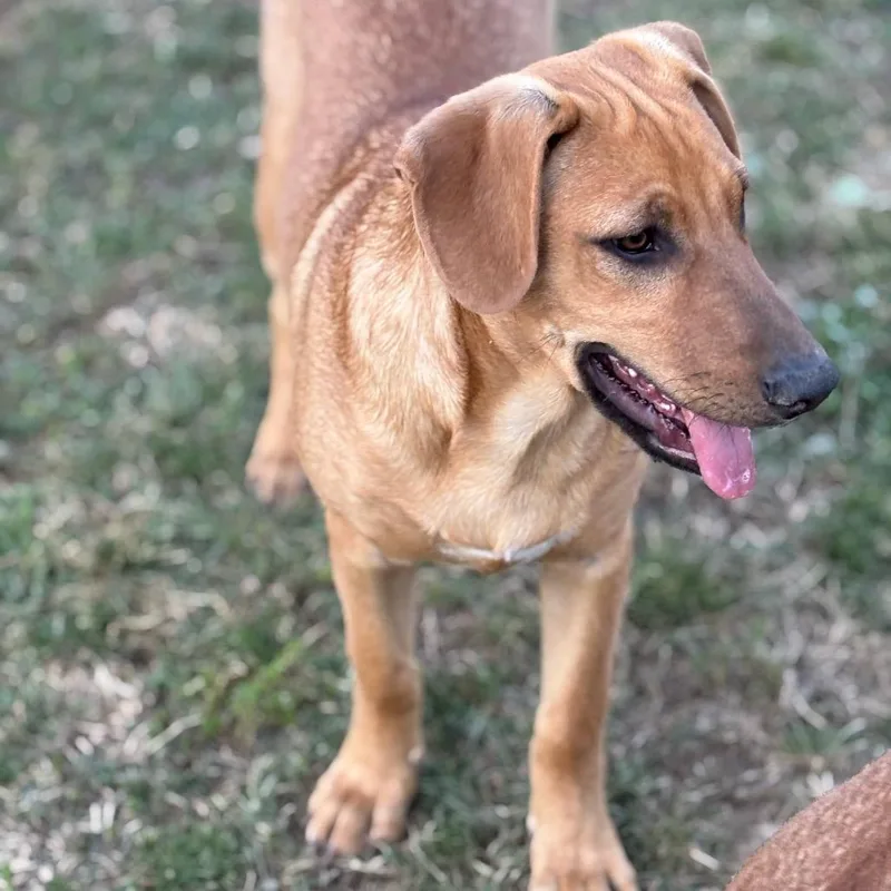 Valentina thumbnail 2