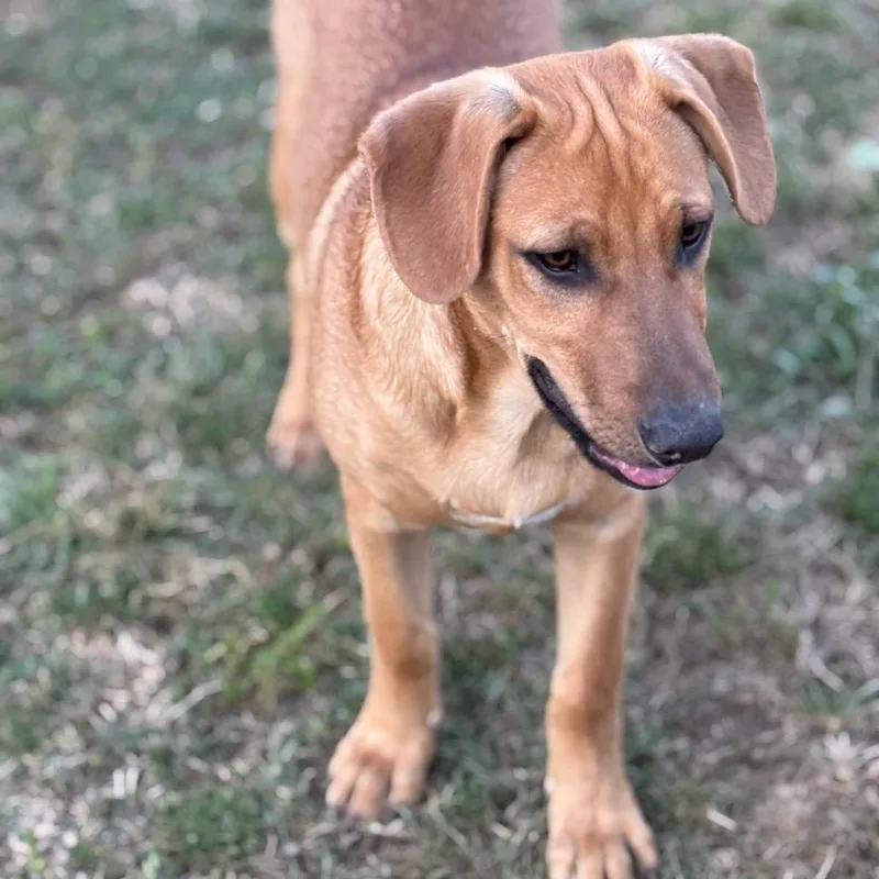 Valentina thumbnail 3