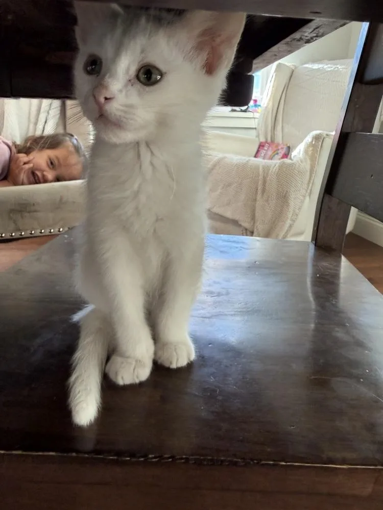 Casper thumbnail 4