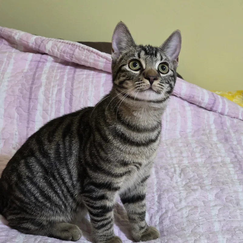 Shirley & Squiggy thumbnail 2