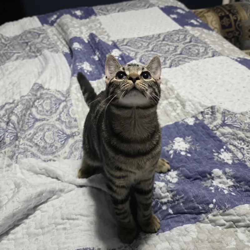 Shirley & Squiggy thumbnail 3