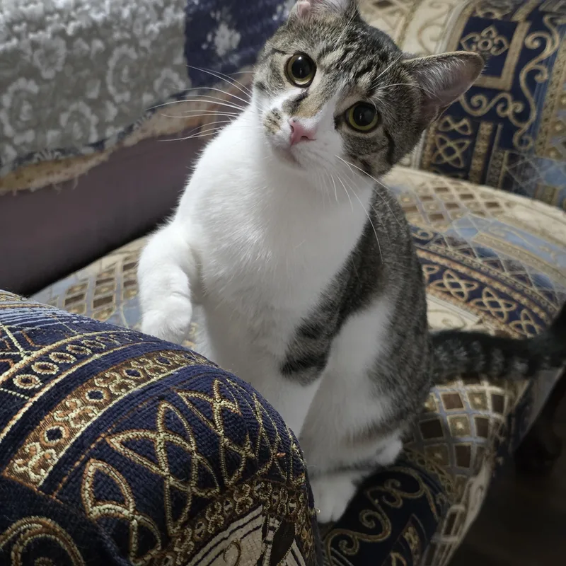 Shirley & Squiggy thumbnail 5