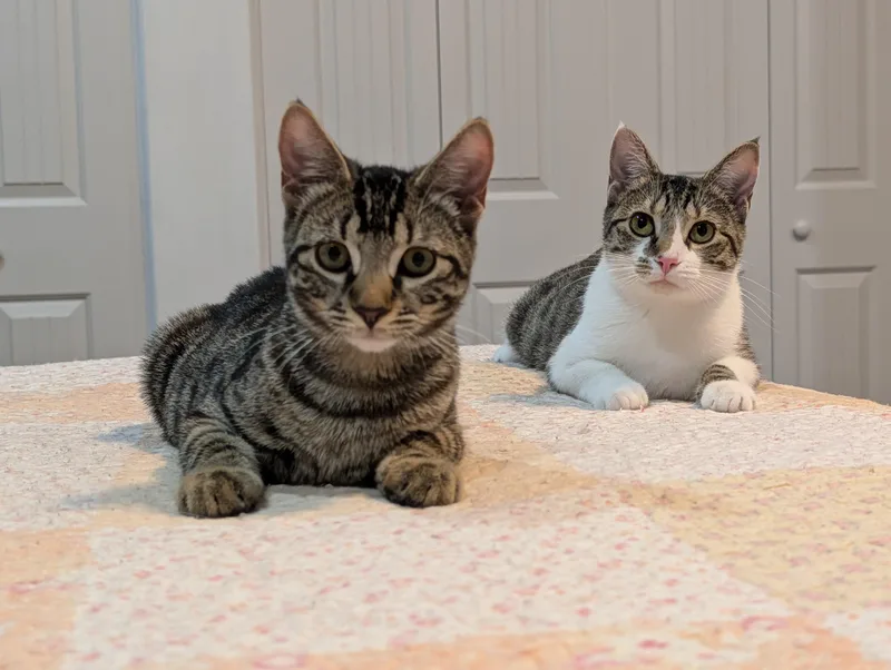 Shirley & Squiggy thumbnail 6