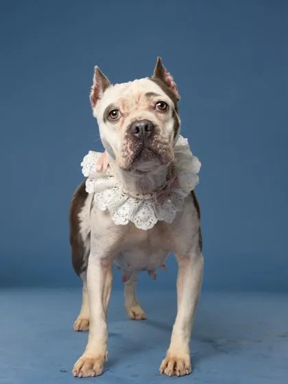 Casimiro thumbnail 2