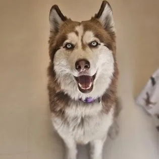 Luna