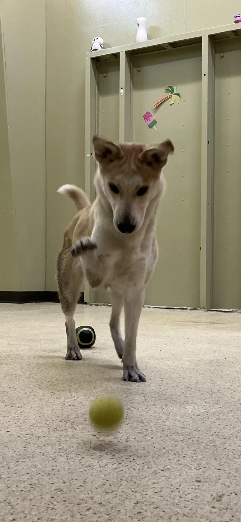 Princess thumbnail 2