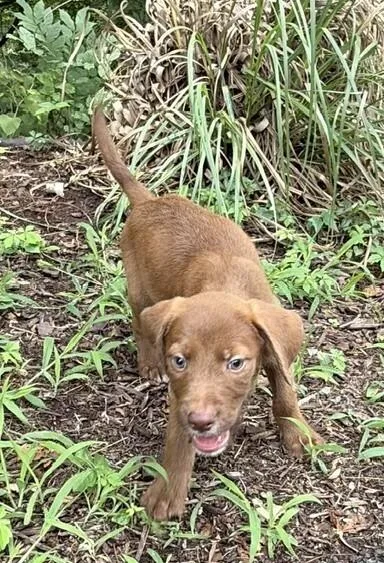 Baby Sky