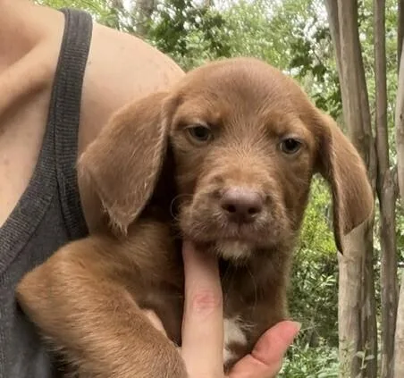 Baby Sky thumbnail 2