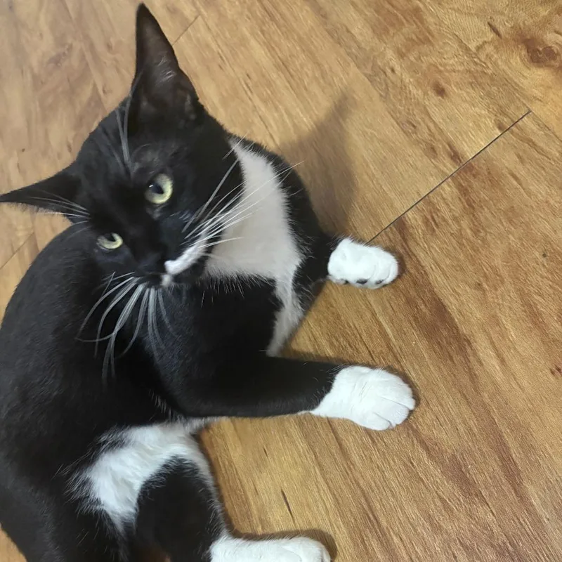 Minnie