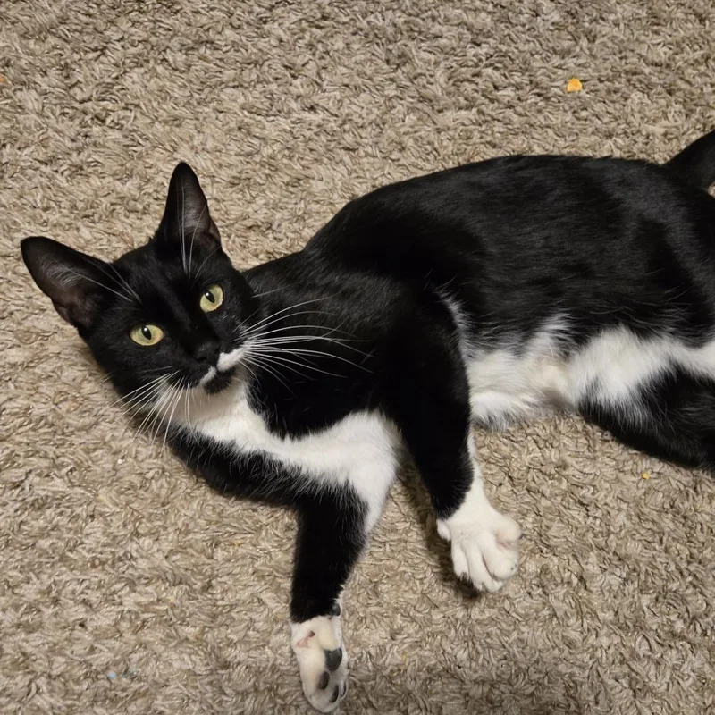 Minnie thumbnail 3