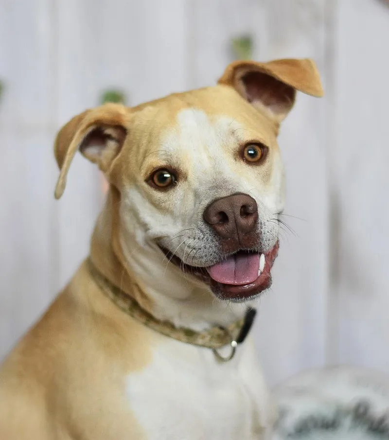 Tallulah thumbnail 2