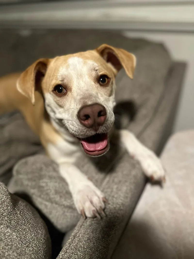 Tallulah thumbnail 3