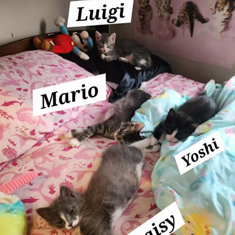 Luigi thumbnail 3